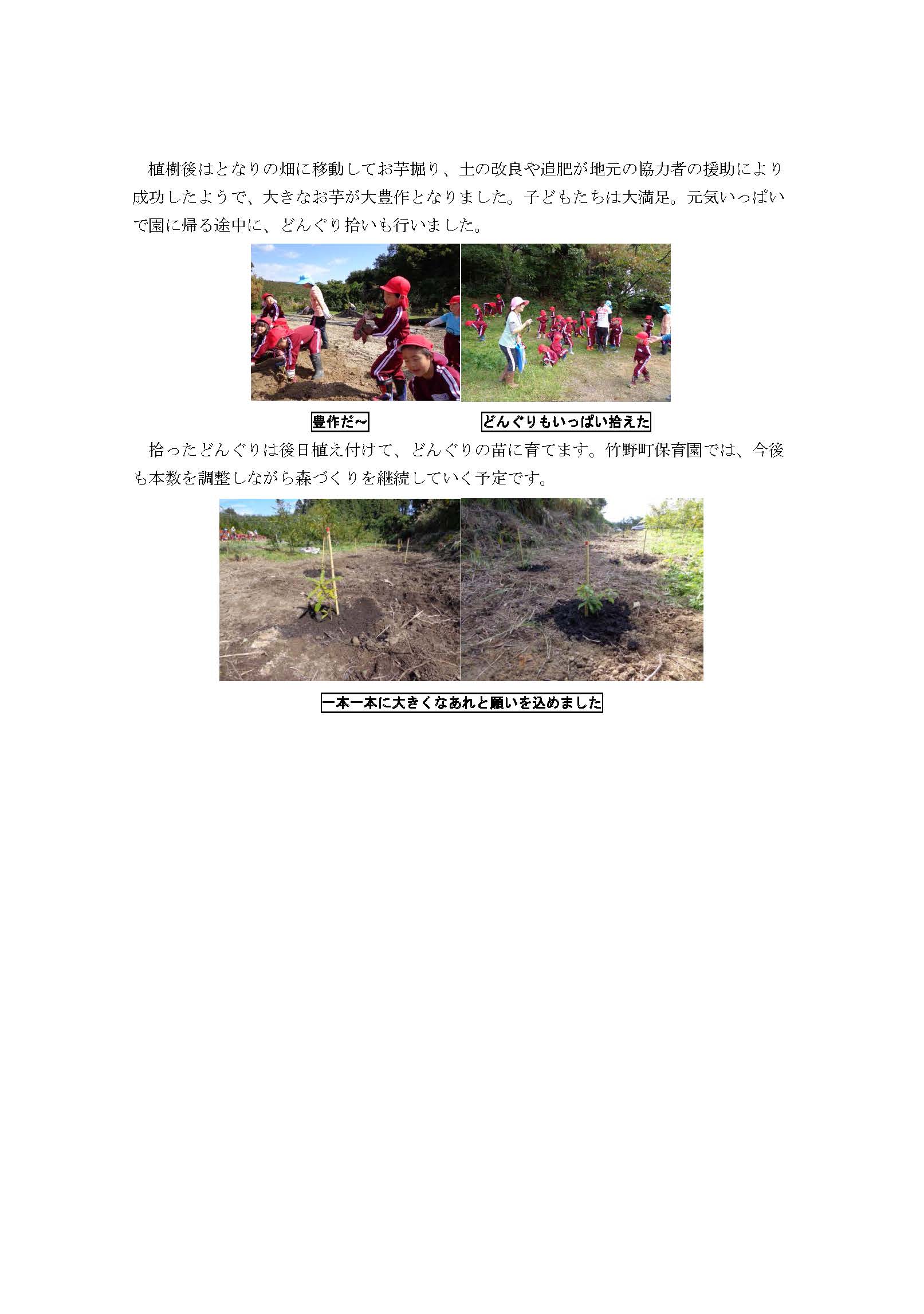 2014竹野町保育園植樹報告_ページ_2